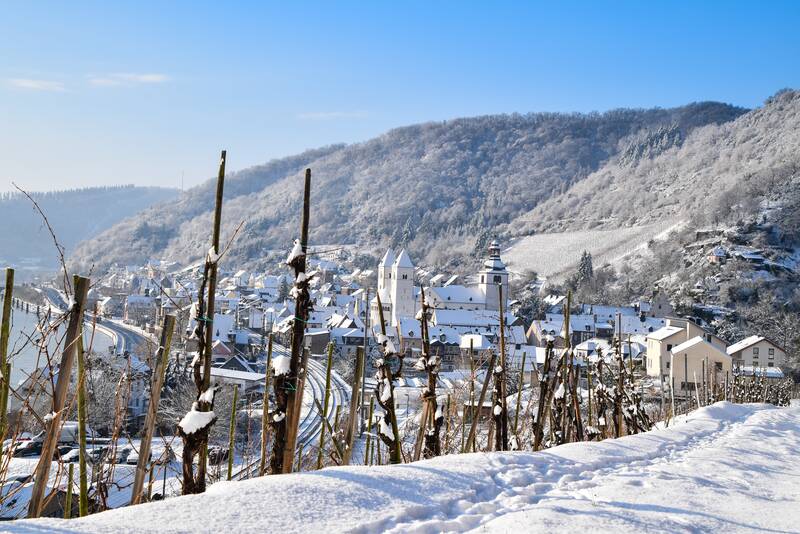 angebote/winterbonbon